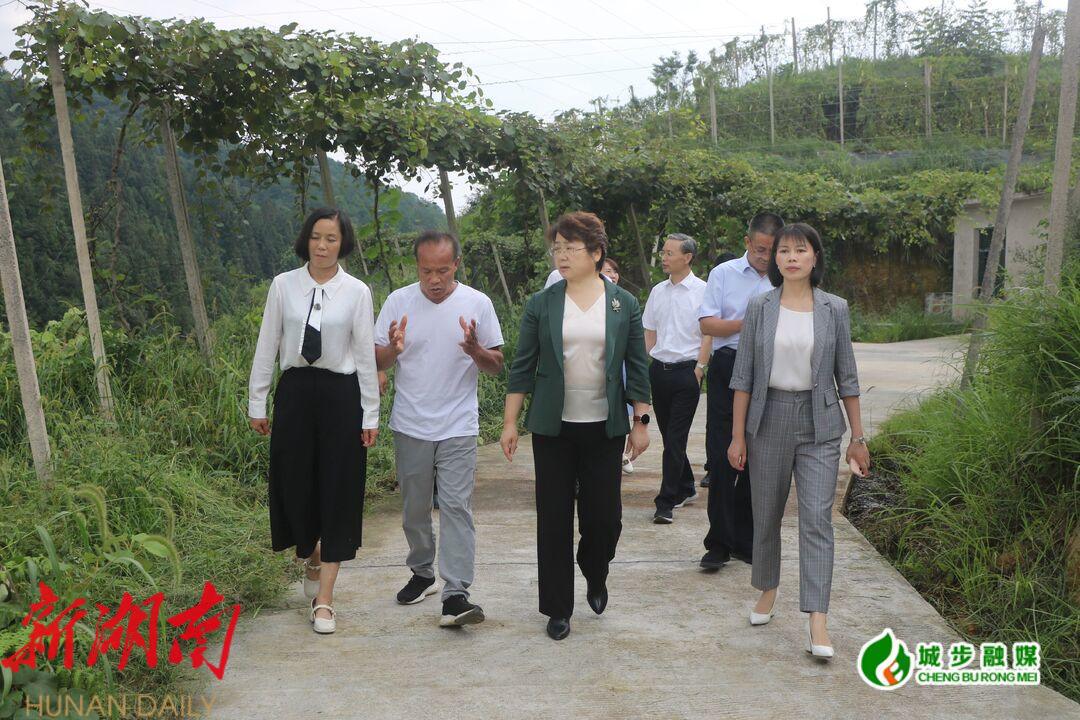 周迎春来城步调研全过程人民民主和乡村振兴工作_邵阳头条网